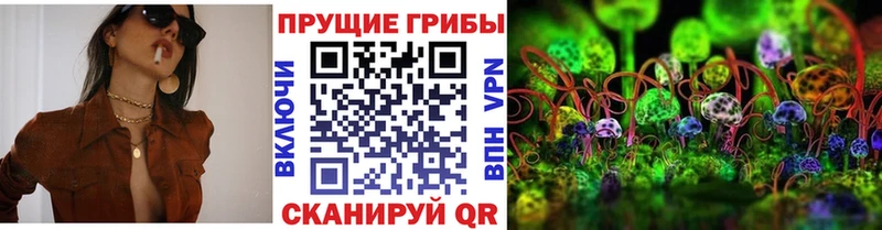 Галлюциногенные грибы ЛСД  Кыштым 